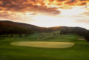Sun setting over golf course with trees and a light green patch of grass.